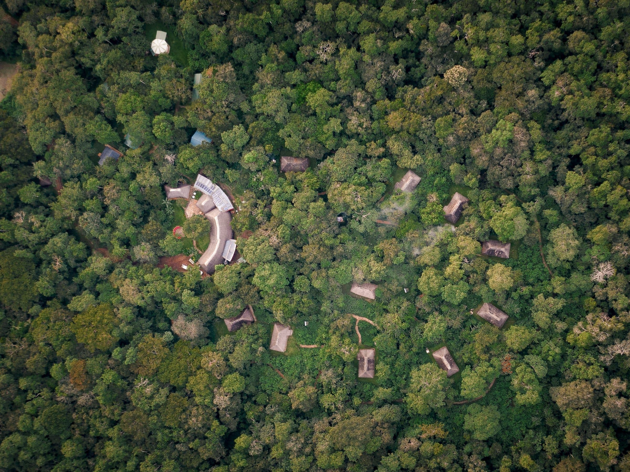 Forest Lodge from Above